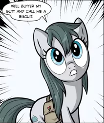 Size: 422x495 | Tagged: safe, artist:pencils, derpibooru import, edit, cloudy quartz, earth pony, pony, comic:anon's pie adventure, comic, cropped, female, mare, reaction image, solo, speech bubble, stupid sexy cloudy quartz