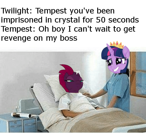 Size: 500x454 | Tagged: derpibooru import, meme, my little pony: the movie, safe, sir you've been in a coma, tempest shadow, twilight sparkle