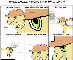 Size: 728x601 | Tagged: artist needed, safe, derpibooru import, applejack, earth pony, pony, 1000 hours in ms paint, applejack's hat, chart, close-up, cowboy hat, crying, dialogue, doing loving things, greentext, hat, implied human, meme, petting, stetson, tears of joy, text, vulgar, waifu, wat, yeehaw