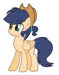 Size: 526x668 | Tagged: safe, artist:theapplebeauty, derpibooru import, oc, unofficial characters only, pegasus, pony, female, hat, mare, offspring, parent:applejack, parent:soarin', parents:soarinjack, simple background, solo, transparent background