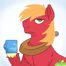 Size: 2000x2000 | Tagged: safe, artist:grim ponka, derpibooru import, big macintosh, earth pony, pony, cutie mark, mug, solo, trixie's cutie mark