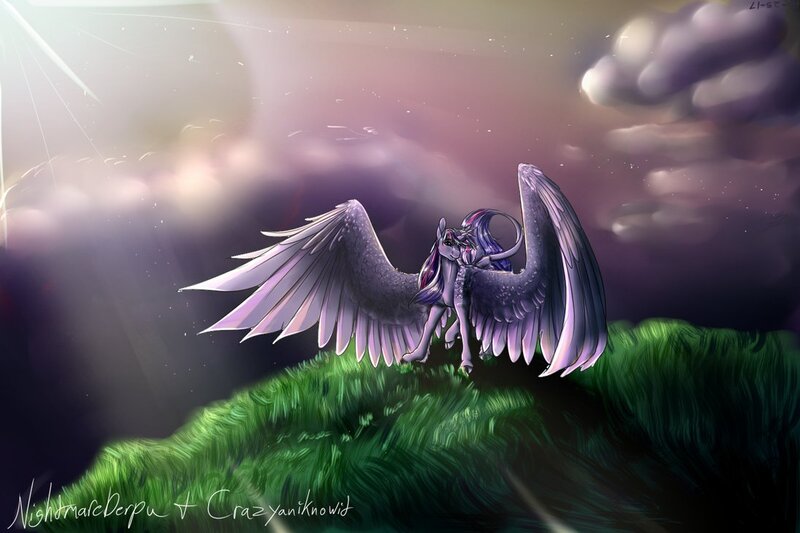 Size: 1095x730 | Tagged: safe, artist:crazyaniknowit, derpibooru import, twilight sparkle, twilight sparkle (alicorn), alicorn, pony, cloud, female, grass, leonine tail, mare, smiling, solo