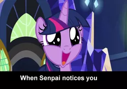 Size: 1280x899 | Tagged: adorkable, alicorn, caption, cute, derpibooru import, dork, image macro, meme, safe, senpai noticed me, shadow play, text, twiabetes, twilight sparkle, twilight sparkle (alicorn)