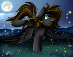 Size: 2486x1950 | Tagged: safe, artist:pridark, derpibooru import, oc, unofficial characters only, firefly (insect), insect, pony, commission, cute, full moon, grass, grass field, green eyes, moon, night, open mouth, scenery, solo, stars