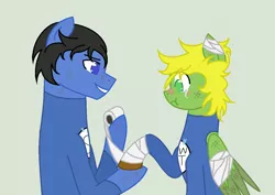 Size: 1024x725 | Tagged: safe, artist:dawnthebarrel, derpibooru import, ponified, pony, craig tucker, creek (south park), gay, male, shipping, south park, south park: the fractured but whole, super craig, tweek tweak, wonder tweek