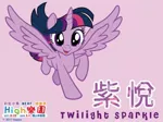 Size: 846x630 | Tagged: safe, derpibooru import, part of a set, twilight sparkle, twilight sparkle (alicorn), alicorn, pony, chinese text, female, hasbro's dream park (taiwan), mare, movie accurate, name translation, open mouth, part of a series, smiling, solo