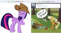 Size: 1014x550 | Tagged: alicorn, applejack, derpibooru, derpibooru import, juxtaposition, meme, meta, rainbow dash, safe, twilight sparkle, twilight sparkle (alicorn), what in tarnation