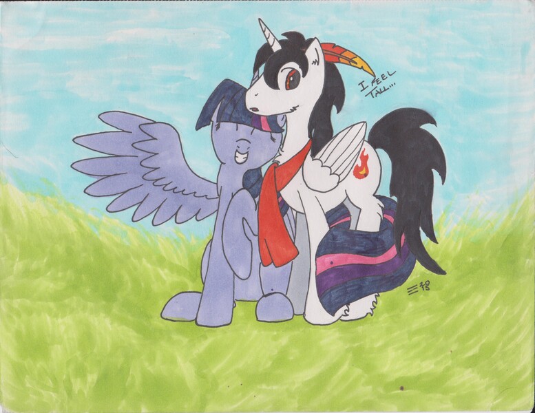 Size: 3302x2550 | Tagged: safe, artist:☲, derpibooru import, twilight sparkle, twilight sparkle (alicorn), oc, oc:ember storm, alicorn, canon x oc, female, male, raised hoof, shipping, straight, traditional art, unshorn fetlocks