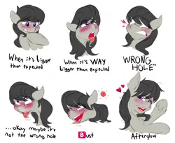 Size: 3668x2989 | Tagged: suggestive, artist:drizziedoodles, derpibooru import, octavia melody, earth pony, pony, 🅱, afterglow, aftersex, ahegao, an egg being attacked by sperm, anal, bedroom eyes, blushing, bust, crying, drool, egg cell, emoji, eyes on the prize, female, floppy ears, gritted teeth, heart, heart eyes, hoof on chin, implied anal, implied sex, impregnation, lewd, lewd emotions, lidded eyes, lip bite, mare, nervous, open mouth, pain, painal, penetration, right hole, sex, shocked, simple background, smiling, solo, solo female, spermatozoon, tears of joy, tears of pleasure, teary eyes, tm, tongue out, trademark, underhoof, white background, wide eyes, wingding eyes, wrong hole