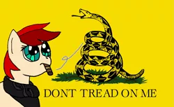 Size: 1217x743 | Tagged: 8chan, cigar, derpibooru import, don't tread on me, gadsden flag, oc, oc:red pone (8chan), politics, /pone/, safe, smoking, snake, snek, unofficial characters only