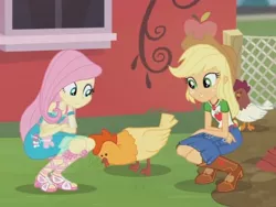 Size: 2048x1536 | Tagged: safe, derpibooru import, screencap, applejack, fluttershy, bird, butterfly, chicken, equestria girls, equestria girls series, fluttershy's butterflies, boots, clothes, cowboy boots, fluttershy's butterflies: applejack, geode of super strength, magical geodes, sandals, shoes, squatting