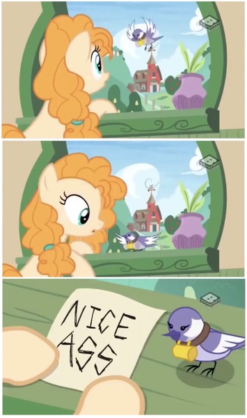 Size: 1122x1894 | Tagged: safe, derpibooru import, edit, edited screencap, screencap, pear butter, bird, earth pony, pony, bronies react, the perfect pear, bright mac's letter, female, letter, mare, meme, solo, songbird, text edit, vulgar