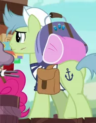 Size: 354x454 | Tagged: safe, derpibooru import, screencap, anchors aweigh (character), pinkie pie, earth pony, pony, ppov, bag, butt, cropped, male, plot, saddle bag, sailor, scar, stallion, stitches