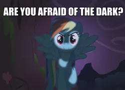 Size: 745x540 | Tagged: safe, derpibooru import, edit, edited screencap, screencap, rainbow dash, friendship is magic, >:d, bronybait, caption, courage, cute, darkness, dashabetes, encouragement, evil grin, grin, happy, image macro, meme, motivation, motivational, nightmare retardant, positive message, smiling, smirk, solo, text