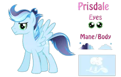 Size: 1453x927 | Tagged: safe, artist:galaxyswirlsyt, derpibooru import, oc, oc:prisdale, unofficial characters only, pegasus, pony, male, offspring, parent:rainbow dash, parent:soarin', parents:soarindash, reference sheet, simple background, solo, stallion, transparent background