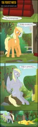 Size: 4388x14575 | Tagged: safe, artist:toxic-mario, derpibooru import, applejack, derpy hooves, spitfire, pony, comic:toxic-mario's derpfire shipwreck, absurd file size, absurd resolution, angry face, annoyed, apple, apple tree, comic, dialogue, dragging, dynamite, explosives, female, fence, food, hill, muffin, new style, rope, spitfiery, spitfire's hair is fire, string, tied, tied up, tree, tree stump