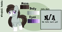 Size: 1526x785 | Tagged: safe, artist:ipandacakes, derpibooru import, oc, oc:windfall pebble, unofficial characters only, earth pony, pony, blaze (coat marking), female, filly, mare, offspring, parent:marble pie, parent:troubleshoes clyde, parents:marbleshoes, reference sheet, socks (coat marking), solo