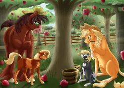 Size: 1080x765 | Tagged: safe, artist:bijutsuyoukai, derpibooru import, applejack, trouble shoes, oc, oc:blackjack (bijutsuyoukai), oc:stout pout, earth pony, pony, apple, apple orchard, apple tree, blaze (coat marking), female, fence, filly, food, male, next generation, offspring, orchard, parent:applejack, parent:troubleshoes clyde, parents:troublejack, shipping, sitting, straight, tree, troublejack