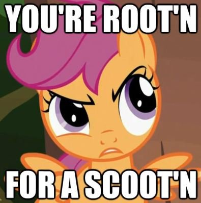 Size: 395x398 | Tagged: caption, derpibooru import, image macro, looks like somepony's, safe, scootaloo, text