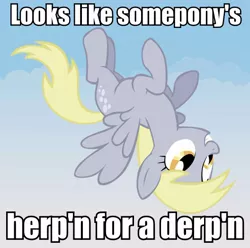 Size: 528x523 | Tagged: safe, derpibooru import, derpy hooves, pegasus, pony, caption, female, image macro, looks like somepony's, mare, text