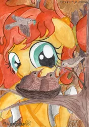 Size: 2445x3482 | Tagged: safe, artist:magnifsunspiration, derpibooru import, oc, oc:smiling sun, bird, pegasus, pony, cuckoo, female, high res, mare, nest, nightingale (bird), solo, traditional art