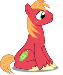 Size: 4218x5000 | Tagged: safe, artist:dashiesparkle, derpibooru import, edit, editor:slayerbvc, vector edit, big macintosh, earth pony, pony, hearts and hooves day (episode), .svg available, absurd resolution, accessory-less edit, cute, macabetes, male, missing accessory, simple background, sitting, solo, stallion, transparent background, vector