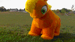 Size: 368x208 | Tagged: safe, derpibooru import, applejack, pony, animated, clothes, cosplay, costume, derp, grass, irl, legs in air, on back, open mouth, photo, quadsuit, rolling, silly, silly pony, solo, who's a silly pony