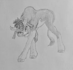 Size: 1280x1227 | Tagged: safe, artist:joestick, derpibooru import, arizona cow, cow, them's fightin' herds, cloven hooves, community related, fanart, female, handkerchief, horns, pencil drawing, simple background, solo, tail, traditional art