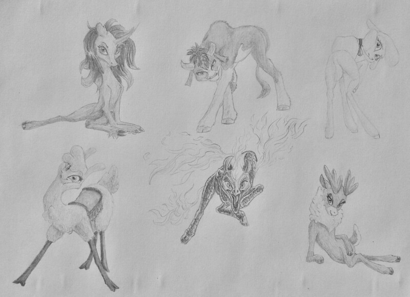 Size: 1280x926 | Tagged: safe, artist:joestick, derpibooru import, arizona cow, oleander (tfh), paprika paca, pom lamb, tianhuo, velvet (tfh), alpaca, classical unicorn, cow, deer, dragon, hybrid, longma, reindeer, sheep, unicorn, them's fightin' herds, bell, bell collar, cloven hooves, collar, colored hooves, community related, female, fiery wings, fightin' six, group, lamb, leonine tail, looking at you, mane of fire, mare, pencil drawing, raised hoof, simple background, smiling, traditional art, unshorn fetlocks, wings