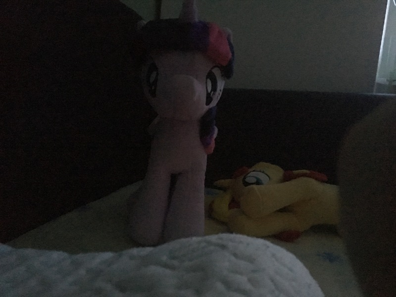 Size: 4032x3024 | Tagged: 4de, alicorn, bed, dark, derpibooru import, irl, looking at you, photo, pillow, plushie, safe, she knows, sunset shimmer, twilight sparkle, twilight sparkle (alicorn)
