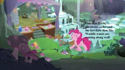 Size: 1280x720 | Tagged: crystal, derpibooru import, edit, edited screencap, implied mr. waddle, implied rarity, maud's cave, pinkie pie, safe, screencap, text, the maud couple, waterfall