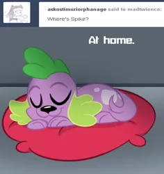 Size: 500x530 | Tagged: safe, artist:wubcakeva, derpibooru import, spike, spike the regular dog, dog, comic:twilight's lab, equestria girls, comic, cushion, sleeping