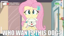 Size: 1536x863 | Tagged: safe, derpibooru import, edit, edited screencap, screencap, fluttershy, dog, equestria girls, equestria girls series, outtakes (episode), camera, caption, family guy, image macro, meme, ollie williams, pup-pup, recording, reference, text