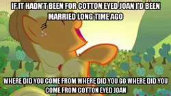 Size: 480x270 | Tagged: applejack, bats!, caption, cotton eyed joan, cotton eyed joe, derpibooru import, edit, edited photo, edited screencap, image macro, meme, parody, reupload, safe, screencap, solo, sunrise, sunset, text