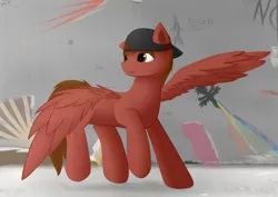 Size: 1024x724 | Tagged: safe, anonymous artist, derpibooru import, oc, oc:starvyn', pegasus, pony, backwards ballcap, baseball cap, cap, graffiti, hat, spread wings, wall, wings