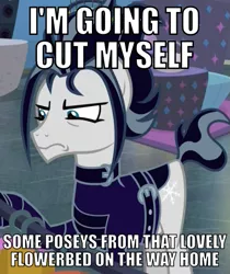 Size: 503x600 | Tagged: safe, derpibooru import, edit, edited screencap, screencap, snow hope, earth pony, pony, fake it 'til you make it, bait and switch, caption, clothes, cropped, cutting, emo, goth pony, image macro, jacket, leather jacket, male, meme, self harm, solo, stallion, text