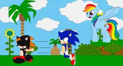 Size: 1824x978 | Tagged: artist:awvr8888, crossover, derpibooru import, green hill zone, oc, oc:sierra summit, rainbow dash, safe, sonic the hedgehog, sonic the hedgehog (series)