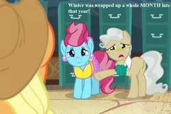 Size: 1080x720 | Tagged: applejack, applejack's hat, cowboy hat, cropped, cup cake, derpibooru import, edit, edited screencap, epic fail, fail, filing cabinet, hat, mayor mare, safe, screencap, text, the perfect pear, town hall, winter wrap up (event)