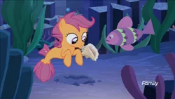 Size: 1600x900 | Tagged: apple bloom, conch, cutie mark crusaders, derpibooru import, fish, safe, scootaloo, screencap, sea-mcs, seaponified, seapony apple bloom, seapony (g4), seapony scootaloo, seapony sweetie belle, seashell, species swap, surf and/or turf, sweetie belle