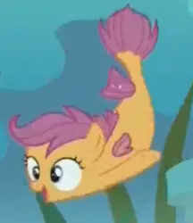 Size: 306x354 | Tagged: apple bloom, cropped, cutie mark crusaders, derpibooru import, safe, scootaloo, screencap, sea-mcs, seaponified, seapony apple bloom, seapony (g4), seapony scootaloo, seapony sweetie belle, species swap, surf and/or turf, sweetie belle