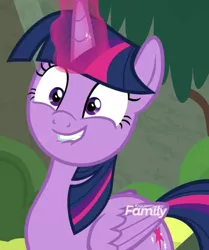 Size: 897x1073 | Tagged: safe, derpibooru import, screencap, twilight sparkle, twilight sparkle (alicorn), alicorn, pony, surf and/or turf, cropped, cute, lip bite, solo, twiabetes