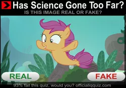 Size: 1926x1348 | Tagged: apple bloom, cute, cutealoo, cutie mark crusaders, derpibooru import, discovery family logo, edit, edited screencap, has science gone too far?, meme, real or fake, safe, scootaloo, screencap, sea-mcs, seaponified, seapony apple bloom, seapony (g4), seapony scootaloo, seapony sweetie belle, solo, species swap, surf and/or turf, sweetie belle