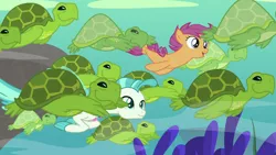 Size: 1920x1080 | Tagged: apple bloom, cutie mark crusaders, derpibooru import, female, filly, male, safe, scootaloo, screencap, sea-mcs, seaponified, seapony apple bloom, seapony (g4), seapony scootaloo, seapony sweetie belle, sea turtle, species swap, surf and/or turf, sweetie belle, swimming, terramar, turtle, underwater, your heart is in two places