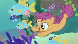 Size: 1280x720 | Tagged: cute, cutealoo, derpibooru import, female, filly, fish, open mouth, safe, school of fish, scootaloo, screencap, seaponified, seapony (g4), seapony scootaloo, species swap, surf and/or turf, swimming, underwater, your heart is in two places