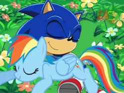 Size: 443x332 | Tagged: safe, derpibooru import, rainbow dash, pony, copy and paste, crossover, cut and paste, sonic the hedgehog, sonic the hedgehog (series)