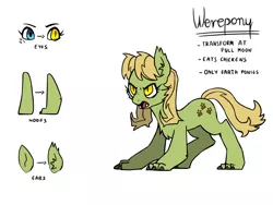 Size: 1600x1200 | Tagged: artist:pikokko, cheek fluff, chest fluff, derpibooru import, ear fluff, female, hengstwolf, mare, oc, oc:seed seeker (syd), offspring, parent:applejack, parent:caramel, parents:carajack, reference sheet, safe, simple background, solo, unofficial characters only, werewolf, white background