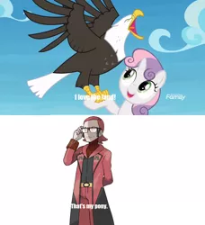 Size: 1280x1406 | Tagged: bald eagle, beak, bird, derpibooru import, eagle, edit, edited screencap, falconry, human, maxie (pokemon), meme, open beak, open mouth, pokémon, safe, screencap, spread wings, surf and/or turf, sweetie belle, team magma, that's my pony, that's my x, wings