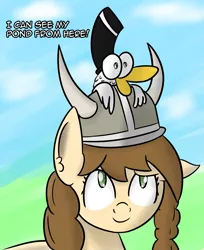 Size: 1477x1808 | Tagged: safe, artist:artiks, derpibooru import, oc, oc:mrducknosa, oc:tvælåt, unofficial characters only, bird, duck, earth pony, pony, braid, duo, hat, helmet, horned helmet, top hat, viking helmet