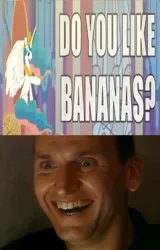 Size: 549x860 | Tagged: safe, derpibooru import, princess celestia, alicorn, human, pony, banana, do you like bananas?, doctor who, female, food, friendship is magic bitch, irl, mare, megaphone, ninth doctor, out of context, photo