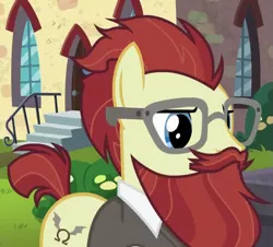 Size: 605x546 | Tagged: safe, derpibooru import, screencap, ginger beard, earth pony, pony, the parent map, background pony, beard, cropped, facial hair, glasses, male, messy hair, moustache, sire's hollow, solo, stallion